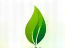 GreenCity logo